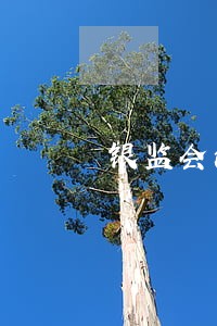 银监会法规部主任行政级别