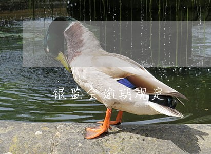 银监会逾期规定 银监会逾期规定