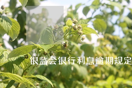 银监会银行利息逾期规定 银监会银行利息逾期规定