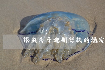 银监关于逾期贷款的规定 银监关于逾期贷款的规定