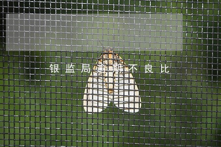 银监局逾期不良比 银监局逾期不良比
