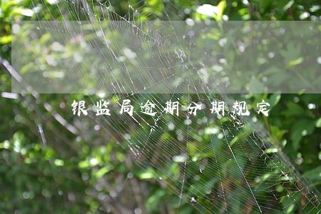 银监局逾期分期规定 银监局逾期分期规定