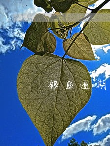银监逾期90天划入不良 银监逾期90天划入不良