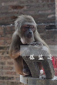 银监逾期贷款不良 银监逾期贷款不良