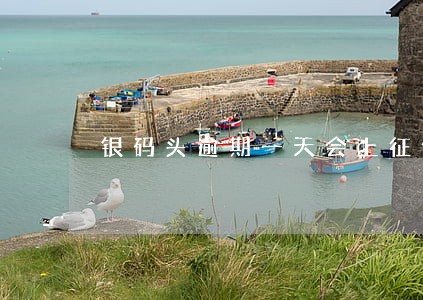 银码头逾期一天会上征信吗 银码头逾期一天会上征信吗
