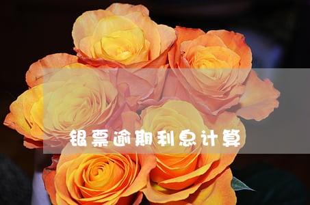 银票逾期利息计算 银票逾期利息计算