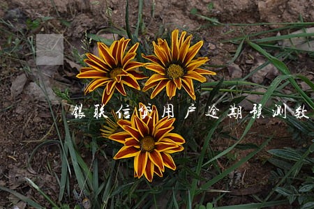 银联信贷用户逾期预测数据 银联信贷用户逾期预测数据