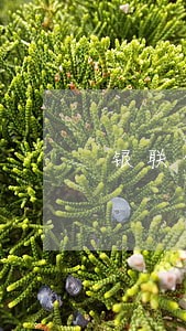银联债务清偿律师创新服务 银联债务清偿律师创新服务