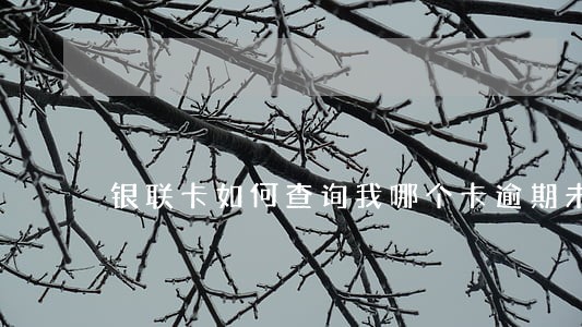 银联卡如何查询我哪个卡逾期未还 银联卡如何查询我哪个卡逾期未还