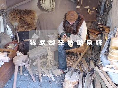 银联司法协助系统
