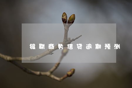 银联商务信贷逾期预测 银联商务信贷逾期预测