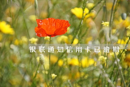 银联通知信用卡已逾期 银联通知信用卡已逾期