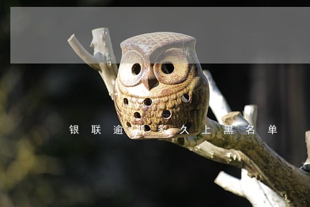 银联逾期多久上黑名单 银联逾期多久上黑名单
