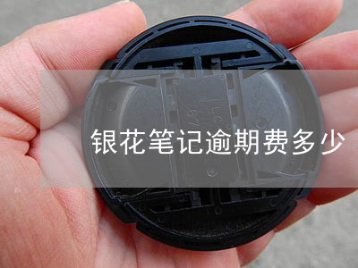 银花笔记逾期费多少 银花笔记逾期费多少