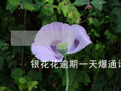 银花花逾期一天爆通讯录吗 银花花逾期一天爆通讯录吗