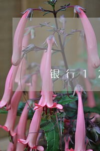 银行12次逾期怎么处理 银行12次逾期怎么处理