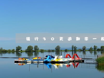 银行30天逾期率一般多少