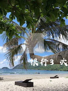银行3次逾期征信多久可以贷款 银行3次逾期征信多久可以贷款