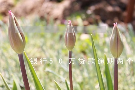 银行50万贷款逾期两个月 银行50万贷款逾期两个月