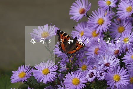 银行5点扣款6点还算逾期吗 银行5点扣款6点还算逾期吗