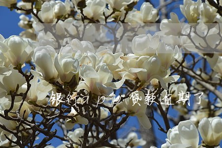 银行app贷款逾期了 银行app贷款逾期了