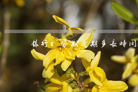 银行e分期逾期多长时间上征信 银行e分期逾期多长时间上征信