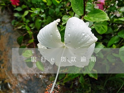 银行e货款逾期