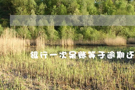 银行一次呆账等于逾期还款50次 银行一次呆账等于逾期还款50次