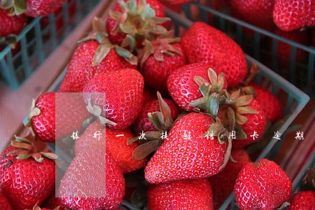 银行一次提醒信用卡逾期还款吗 银行一次提醒信用卡逾期还款吗