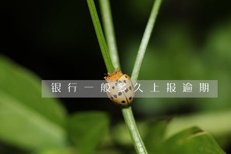 银行一般多久上报逾期 银行一般多久上报逾期
