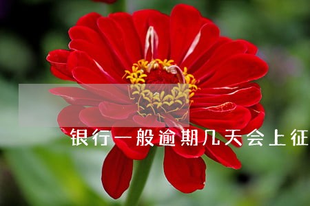 银行一般逾期几天会上征信 银行一般逾期几天会上征信