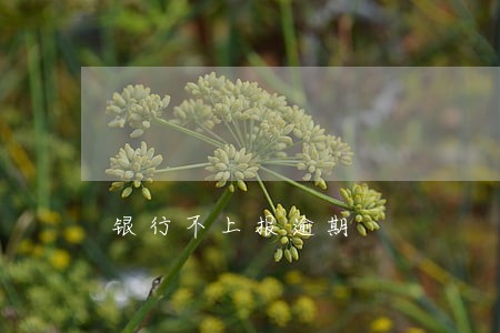 银行不上报逾期