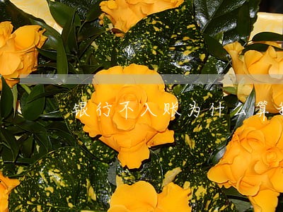 银行不入账为什么算我逾期 银行不入账为什么算我逾期