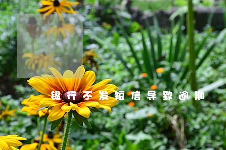 银行不发短信导致逾期 银行不发短信导致逾期