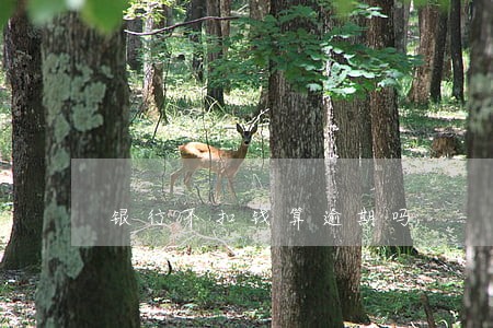 银行不扣钱算逾期吗 银行不扣钱算逾期吗