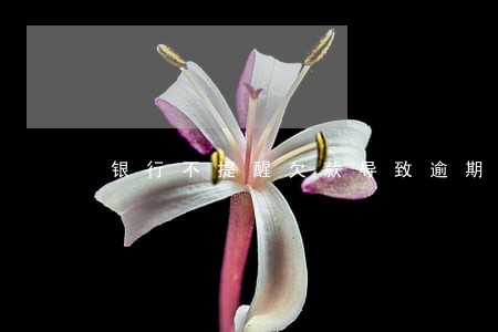 银行不提醒欠款导致逾期 银行不提醒欠款导致逾期