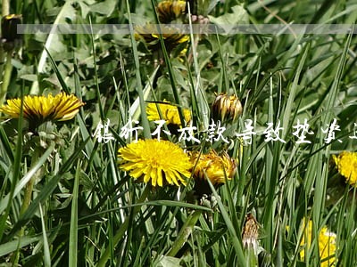 银行不放款导致垫资逾期 银行不放款导致垫资逾期