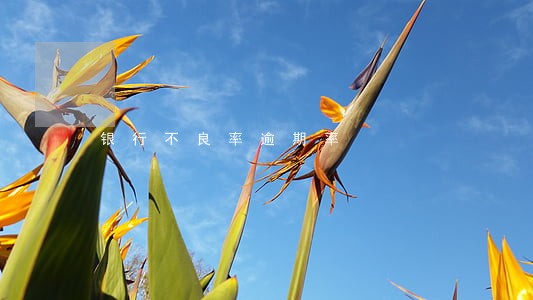 银行不良率逾期率