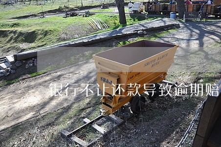 银行不让还款导致逾期赔偿 银行不让还款导致逾期赔偿