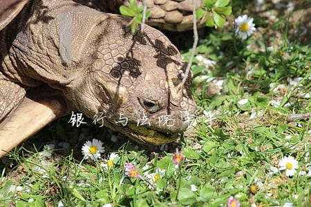 银行与法院牵手 银行与法院牵手