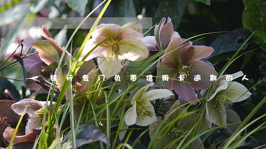 银行专门负责信用卡逾期的人 银行专门负责信用卡逾期的人