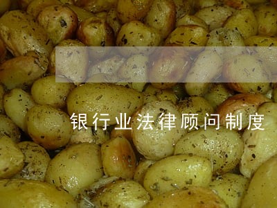银行业法律顾问制度 银行业法律顾问制度