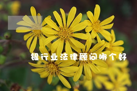 银行业法律顾问哪个好 银行业法律顾问哪个好