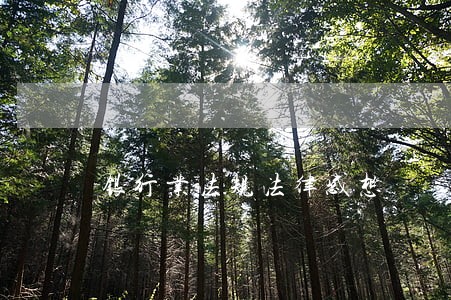 银行业法规法律感想