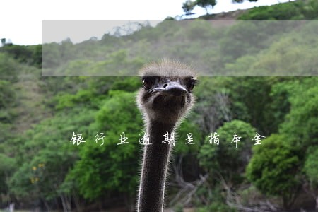 银行业逾期是指本金 银行业逾期是指本金