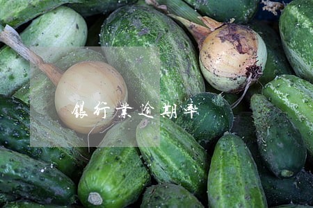 银行业逾期率 银行业逾期率