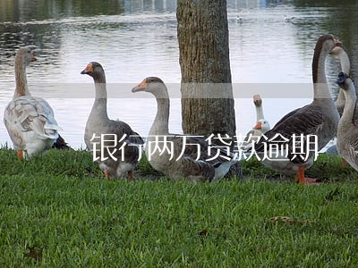 银行两万贷款逾期 银行两万贷款逾期