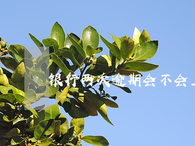 银行两次逾期会不会上黑名单 银行两次逾期会不会上黑名单