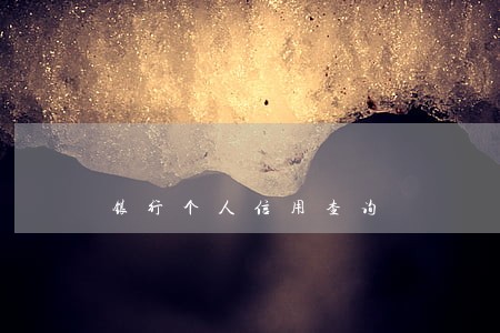 银行个人信用查询