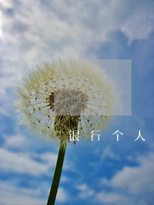 银行个人贷款逾期2年 银行个人贷款逾期2年
